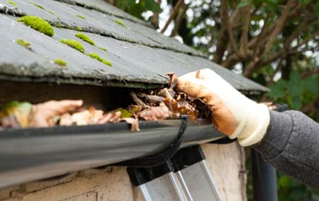 gutter cleaning West End Town